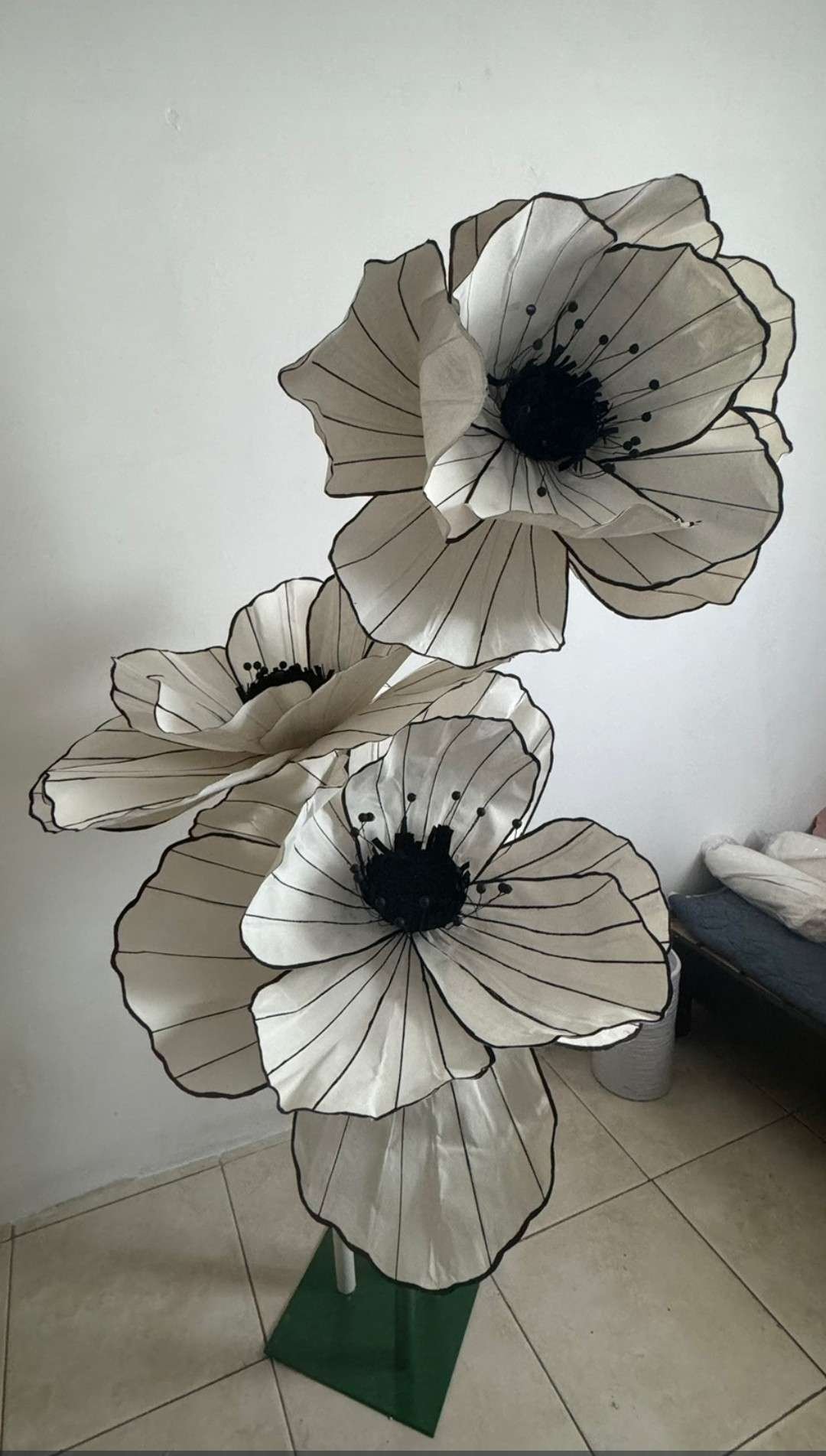 Flores Gigantes Anemona