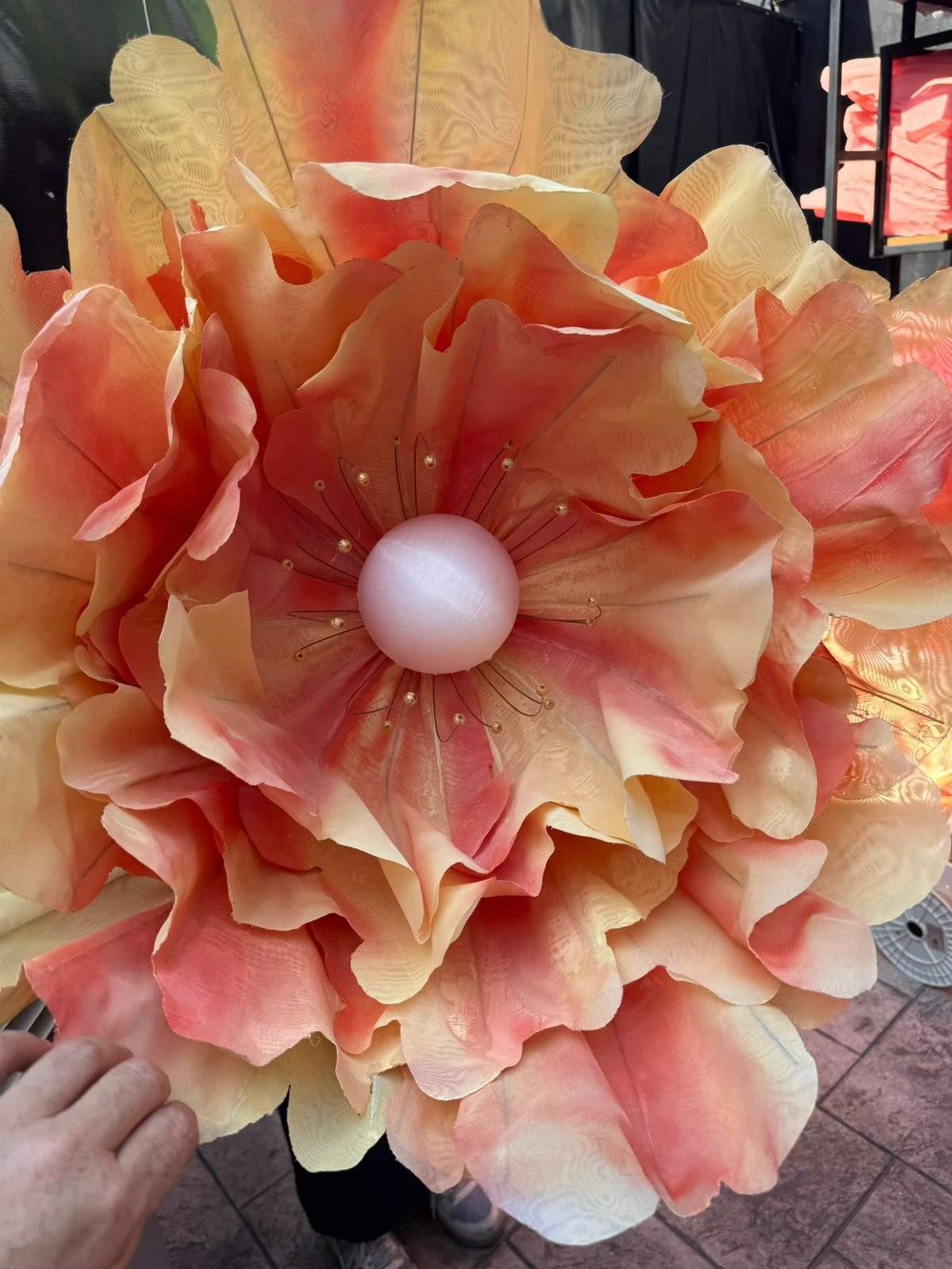 Flores Gigantes Peonia